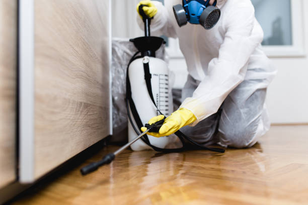 Best Affordable Pest Control Services  in West Mifflin, PA