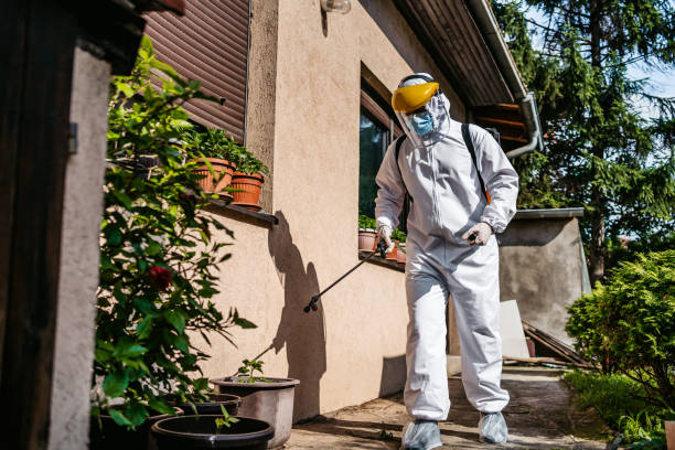Best Rat Extermination Near Me  in West Mifflin, PA