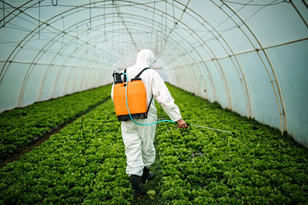 Best Best Pest Control Companies  in West Mifflin, PA