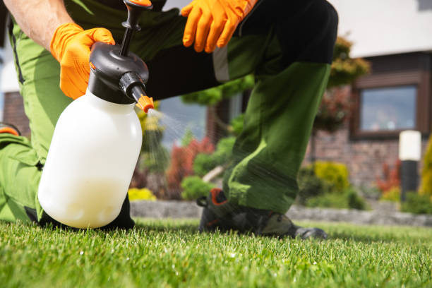 Best Residential Pest Control  in West Mifflin, PA