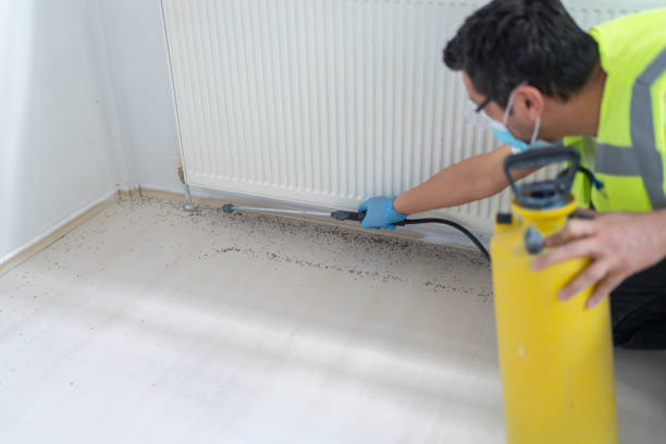 Best Ant Control Services  in West Mifflin, PA