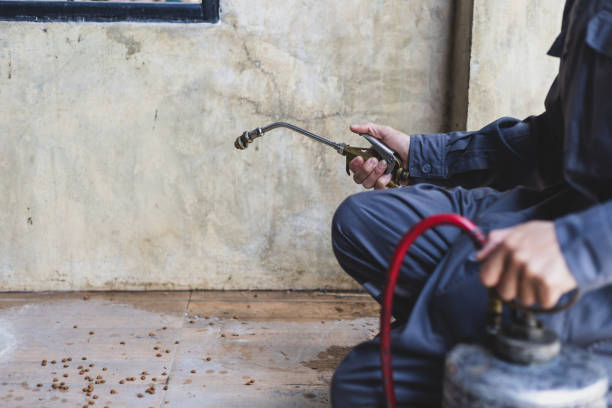 Best Commercial Pest Control Services  in West Mifflin, PA